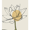 Lotus Line Sage